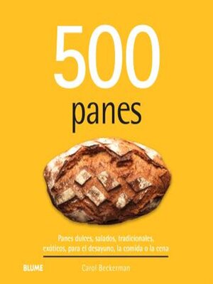 cover image of 500 panes